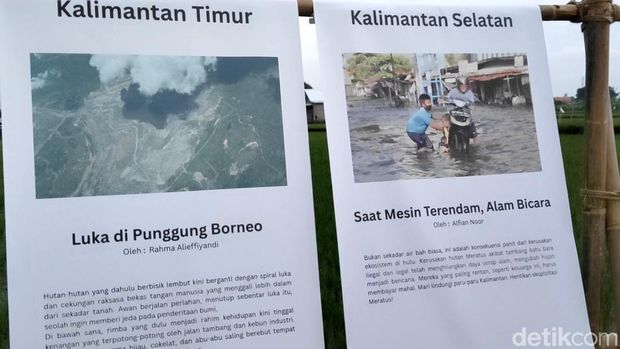Pameran foto bertajuk 'Risau' di tengah sawah Abian Carik, Desa Kapal, Mengwi, Badung, Bali, Sabtu (6/12/2025). (Foto: Agus Eka/detikBali)