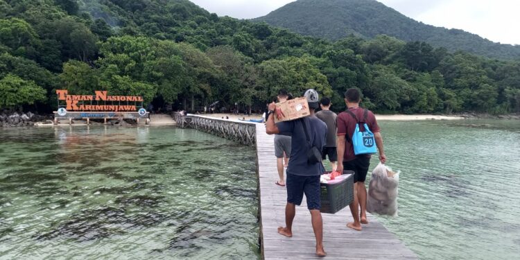 ilustrasi pesisir di Pulau Jawa
