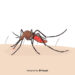 Ilustrasi Nyamuk Penyebab Malaria/ Freepik