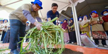 Manfaatkan Limbah Organik untuk Pertanian Berkelanjutan (foto: Istimewa)